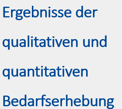 Innovationsforum Bedarfserhebung: Ergebnisse der qualitativen und quantitativen Bedarfserhebung