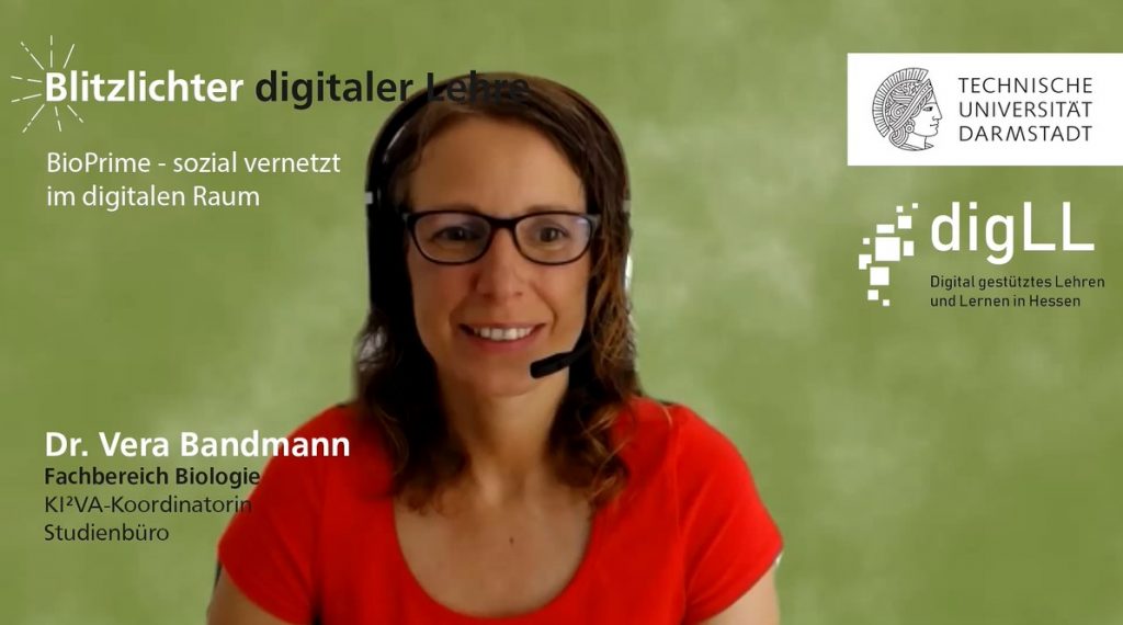 Blitzlichter digitaler Lehre / Dr. Vera Bandmann / TUDa / Coverbild